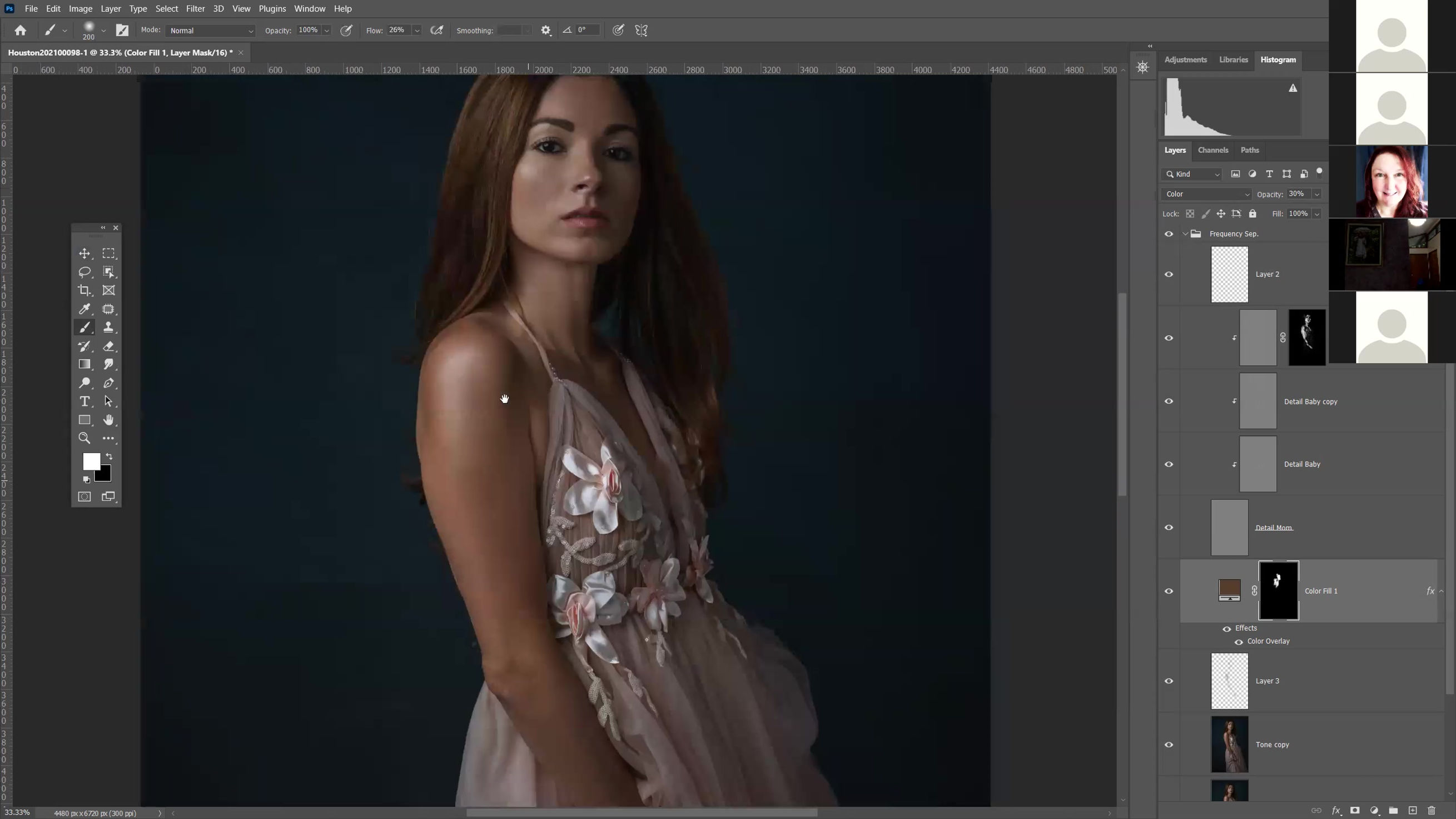 Workshop Zoom 2021 July/Aug